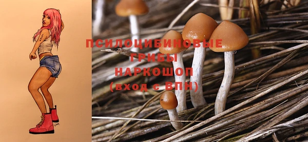 дживик Балабаново