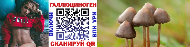 Псилоцибиновые грибы ЛСД  Бор 
